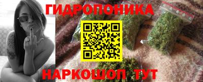 соль ск Можга