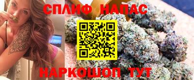 соль ск Можга