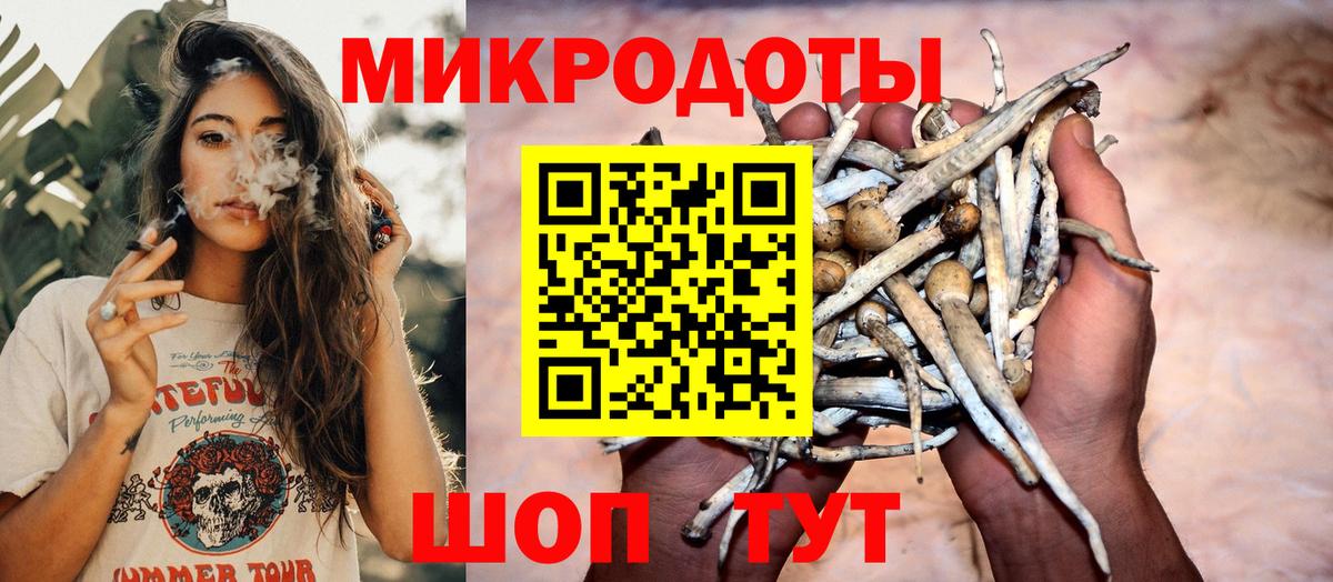 Псилоцибиновые грибы мицелий  цены   Вход с VPN  Тосно  Псилоцибиновые грибы MAGIC MUSHROOMS 