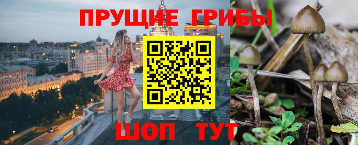 Галлюциногенные грибы ЛСД Тосно