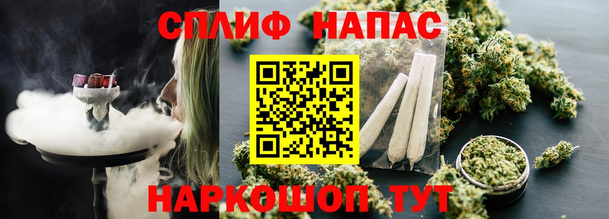 Бошки Шишки планчик Тосно